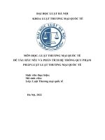 Tiểu luận phân tích và đánh giá hệ thống quy phạm pháp luật luật thương mại quốc tế