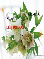 Bài giảng môn Tiếng Việt lớp 3 năm học 2020-2021 - Tuần 30: Chính tả Liên hợp quốc (Trường Tiểu học Thạch Bàn B)