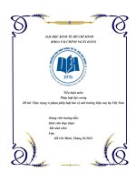 Tiểu luận về thực trạng vi phạm pháp luật bảo vệ môi trường (pháp luật đại cương)