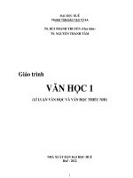 Lí luận văn học và văn học thiếu nhi