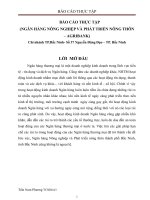 Báo cáo thực tập ngân hàng nông nghiệp và phát triển nông thôn thành phố bắc ninh
