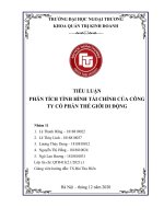 TIỂU LUẬN  PHÂN TÍCH TÌNH HÌNH TÀI CHÍNH CỦA CÔNG  TY CỔ PHẦN THẾ GIỚI DI ĐỘNG