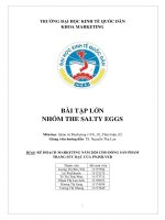 KẾ HOẠCH MARKETING NĂM 2020 CHO DÒNG SẢN PHẨM  TRANG SỨC BẠC CỦA PNJSILVER