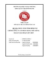 QUẢN TRỊ TÀI СHÍNH NÂNG CAO  ĐỀ TÀI: PHÂN TÍСH TÌNH HÌNH TÀI CHÍNH CÔNG TY CỔ PHẦN HÀNG TIÊU DÙNG  MASAN GIAI ĐOẠN 20172019