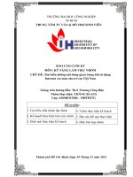 KỸ NĂNG LÀM VIỆC NHÓM  CHỦ ĐỀ: Tìm hiểu những nội dung quan trọng khi sử dụng  Internet An toàn cho trẻ em Việt Nam