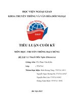 TRUYỀN THÔNG ĐẠI CHÚNG ĐỀ TÀI: Lý Thuyết Diễn Ngôn (Discourse)