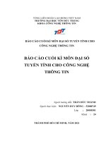 BÁO cáo CUỐI kì môn đại số TUYẾN TÍNH CHO CÔNG NGHỆ THÔNG TIN 