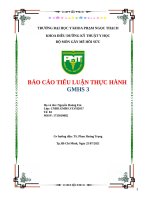 Báo cáo tiểu luận thực hành gây mê hồi sức 3 
