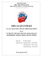 ĐẠI CƯƠNG TRUYỀN THÔNG ĐẠI CHÚNG  Đề tài:  LÝ THUYẾT VIÊN ĐẠN THẦN KỲ (MAGIC BULLET HYPODERMIC NEEDLE) TRONG TRUYỀN THÔNG
