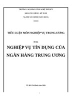 TIỂU LUẬN NGÂN HÀNG TRUNG ƯƠNG