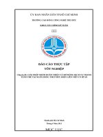 GIẢI PHÁP NHẰM HOÀN THIỆN VÀ MỞ RỘNG DỊCH VỤ THANH TOÁN THẺ TẠI NGÂN HÀNG TMCP BƯU ĐIỆN LIÊN VIỆT