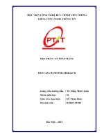 HỌC PHẦN: AN TOÀN MẠNG  BÁO CÁO: HAMSTERSIDEJACK