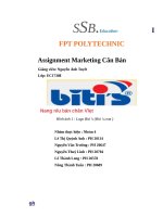 NGHIÊN cứu sản PHẨM của DOANH NGHIỆP   sản PHẨM BITI’S HUNTER 