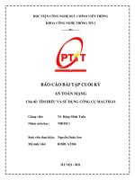 BÁO CÁO BÀI TẬP CUỐI KỲ  AN TOÀN MẠNG  Chủ đề: TÌM HIỂU VÀ SỬ DỤNG CÔNG CỤ MALTEGO