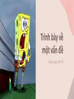 TIỂU LUẬN trình bày về một vấn đề tầm quan trọng của việc trình bày một vấn đề