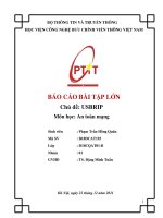 BÁO CÁO BÀI TẬP LỚN  Chủ đề: USBRIP Môn học: An toàn mạng