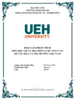 BÁO CÁO PHÂN TÍCH MÔN HỌC QUẢN TRỊ CHIẾN LƯỢC TOÀN CẦU ĐỀ TÀI IKEA VÀ THỊ TRƯỜNG VIỆT NAM