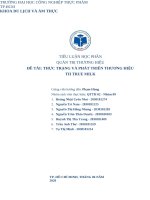 TIỂU LUẬN học PHẦN QUẢN TRỊ THƯƠNG HIỆU đề tài THỰC TRẠNG và PHÁT TRIỂN THƯƠNG HIỆU TH TRUE MILK 