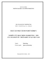 BÁO cáo THỰC HÀNH NGHỀ NGHIỆP 1 NGHIÊN cứu HOẠT ĐỘNG MARKETING – MIX của NGÀNH ô tô – PHÂN KHÚC d tại VIỆT NAM 