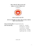 BÁO CÁO BÀI TẬP LỚN  ĐỀ TÀI: TÌM HIỂU VỀ TIÊU CHUẨN ENISA TRONG  ĐIỆN TOÁN ĐÁM MÂY