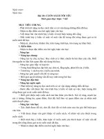 Giáo án ngữ văn 6 kì 2 sách kết nối tri thức với cuộc sống (bài 10) 