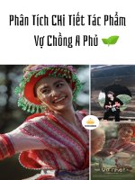 PHÂN TÍCH CHI TIẾT vợ CHỒNG a PHỦ