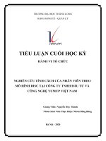 NGHIÊN cứu TÍNH CÁCH của NHÂN VIÊN THEO mô HÌNH DISC tại CÔNG TY TNHH đầu tư và CÔNG NGHỆ YUMUP VIỆT NAM 