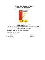 Báo cáo bài tập lớn đề tài  xây dựng phương án thiết kế hệ thống thông tin quang WDM có sử dụng khuếch đại quang EDFA 