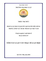 PHÁP LUẬT BẢO VỆ QUYỀN LỢI NGƯỜI TIÊU DÙNG TRONG LĨNH VỰC DƯỢC PHẨM TẠI VIỆT NAM