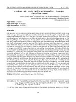 CHIẾN LƯỢC PHÁT TRIỂN NGÀNH HÀNG LÚA GẠO TỈNH VĨNH LONG