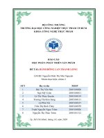 BÁO cáo học PHẦN PHÁT TRIỀN sản PHẨM đề tài BÁNH BÔNG LAN THANH LONG 
