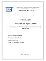 TIỂU LUẬN PHÁP LUẬT ĐẠI CƯƠNG Các trường hợp cấm kết hôn theo quy định của pháp luật hôn nhân và gia đình hiện hành