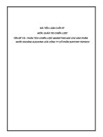 PHÂN TÍCH CHIẾN LƯỢC MARKETING MIX CHO SẢN PHẨM NƯỚC KHOÁNG AQUAFINA(1)