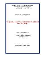 BÁO CÁO BÀI TẬP LỚN VẼ QUỸ ĐẠO CỦA VẬT THEO PHƯƠNG TRÌNH CHUYỂN ĐỘNG