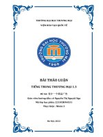 BÀI THẢO LUẬN TIẾNG TRUNG THƯƠNG mại 1 3 đề tài 设计一个商品广告 