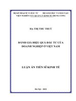 Tài liệu Đánh giá hiệu quả đầu tư của doanh nghiệp ở Việt Nam