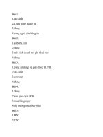 Đáp Án LMS Tổng Quan Thương Mại Điện Tử DOM108