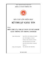 BÀI TẬP LỚN MÔN HỌC KĨ THUẬT GIẤU TIN  Đề tài: BIẾN THỂ CỦA THUẬT TOÁN ẨN MÃ LSB ĐỂ GIẤU THÔNG TIN TRONG ẢNH RGB