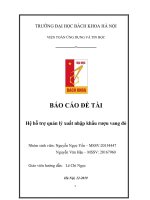 BÁO CÁO ĐỀ TÀI: Hệ hỗ trợ quản lý xuất nhập khẩu rượu vang đỏ