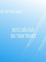 Bài giảng môn Tin học lớp 8 năm học 2021-2022 - Bài tập thực hành 1: Bước đầu giải bài toán tin học (Trường THCS Thành phố Bến Tre)
