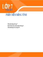 Bài giảng môn Tin học lớp 7 năm học 2021-2022 - Chủ đề 1: Phần mềm bảng tính (Trường THCS Thành phố Bến Tre)