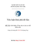 Tiểu luận khai phá dữ liệu  ĐỀ TÀI: Giới thiệu về học sâu và các cơ chế kiểm soát.