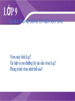 Bài giảng môn Tin học lớp 9 năm học 2021-2022 - Chủ đề 4: Bảo vệ thông tin trên máy tính (Trường THCS Thành phố Bến Tre)