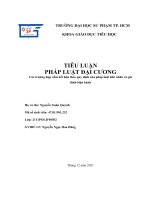 TIỂU LUẬN PHÁP LUẬT đại CƯƠNG các trường hợp cấm kết hôn theo quy định của pháp luật hôn nhân và gia đình hiện hành 