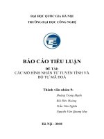 Tiểu luận Khai phá dữ liệu: ĐỀ TÀI: CÁC MÔ HÌNH NHâN TỬ TUYẾN TÍNH VÀ BỘ TỰ MÃ HOÁ