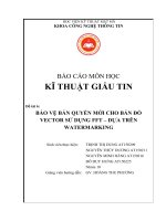 BÁO CÁO MÔN HỌC KĨ THUẬT GIẤU TIN   Đề tài 6: BẢO VỆ BẢN QUYỀN MỚI CHO BẢN ĐỒ VECTOR SỬ DỤNG FFT – DỰA TRÊN WATERMARKING