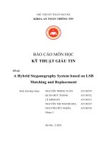 BÁO CÁO MÔN HỌC KỸ THUẬT GIẤU TIN  Đề tài: A Hybrid Steganography System based on LSB Matching and Replacement