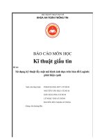 BÁO CÁO MÔN HỌC Kĩ thuật giấu tin Đề tài: Sử dụng kỹ thuật lấy mật mã hình ảnh dựa trên bản đồ Logistic phát hiện cạnh
