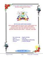 SKKN GDMG 5t nhài MNHuubang (2019 2020)