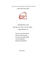 Tiểu luận Kỹ năng làm việc nhóm PTIT